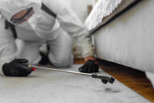 Professional Cockroach Control technician working in Upland, IN