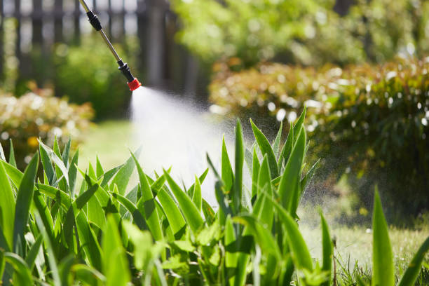 24/7 Emergency Cockroach Control experts in Upland, IN