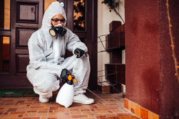 Reliable Cockroach Control contractor in Upland, IN by Nex Pest Control